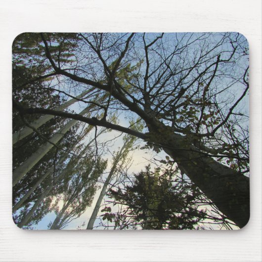 Bomen en Sky of Uw Foto Muismat (Voorkant)