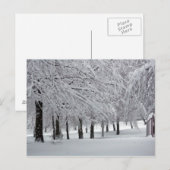 bomen en sneeuw briefkaart (Voorkant / Achterkant)