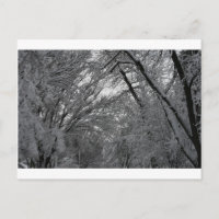 "bomen en sneeuw" van Coressel Productions