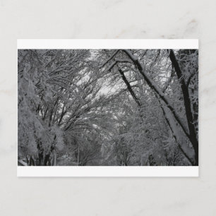 "bomen en sneeuw" van Coressel Productions Briefkaart