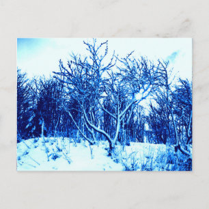 Bomen en Sneeuwlandschap, Kobaltblauw Briefkaart