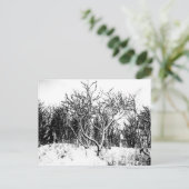 Bomen en sneeuwscène, zwart en wit briefkaart (Staand voorkant)