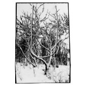 Bomen en sneeuwscène, zwart en wit medium cadeauzakje (Achterkant)
