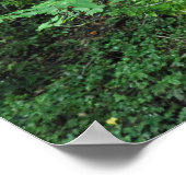 Bomen en struiken poster (Hoek)