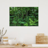 Bomen en struiken poster (Keuken)