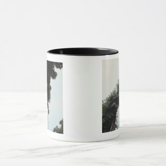 Bomen en wijnstokken in oerwoud mok (Midden)