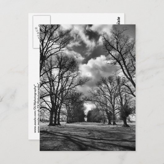 Bomen en wolken briefkaart (Voorkant / Achterkant)