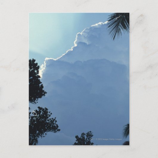 Bomen en wolken briefkaart (Voorkant)