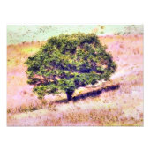 BOMEN FOTO AFDRUK (Voorkant)