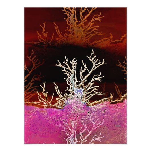 BOMEN FOTO AFDRUK (Voorkant)