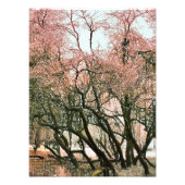 BOMEN FOTO AFDRUK (Voorkant)