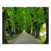 Bomen Foto Afdruk (Voorkant)