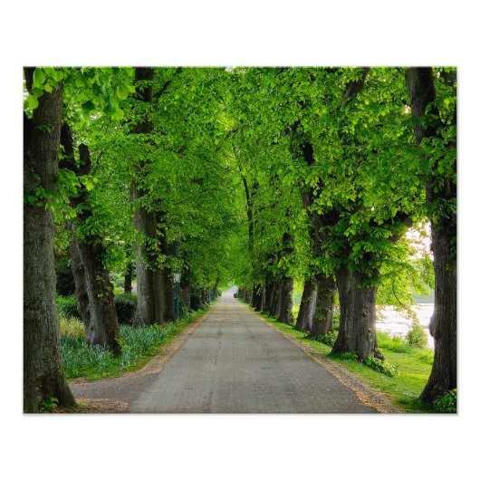 Bomen Foto Afdruk (Voorkant)