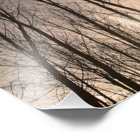 bomen foto afdruk (Hoek)