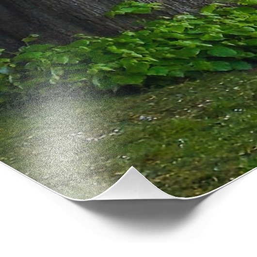 Bomen Foto Afdruk (Hoek)