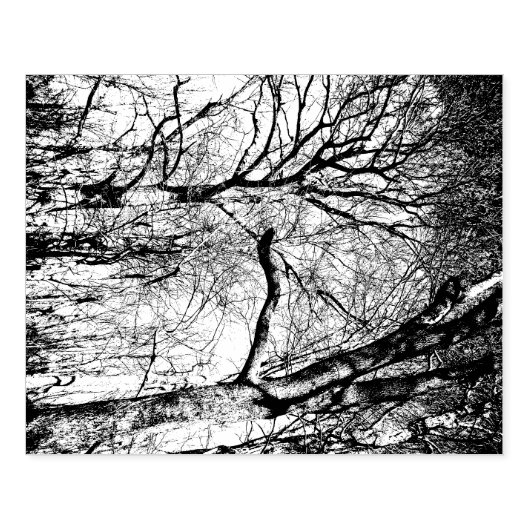 Bomen Foto Rubber Stamp Rubberstempel (Afrduk)