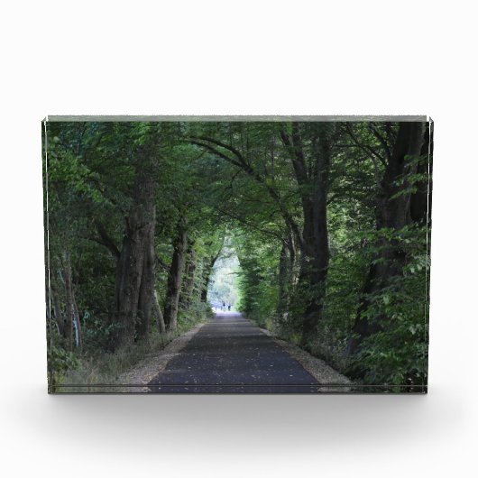 Bomen Fotoblokken (Voorkant)