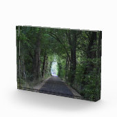 Bomen Fotoblokken (Rechts)
