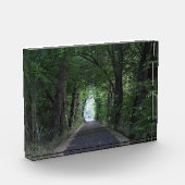 Bomen Fotoblokken (Links)
