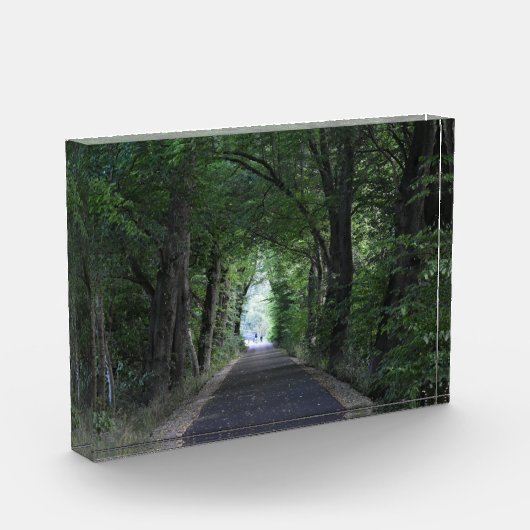 Bomen Fotoblokken (Links)