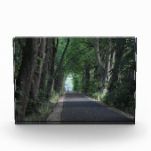 Bomen Fotoblokken (Voorkant)