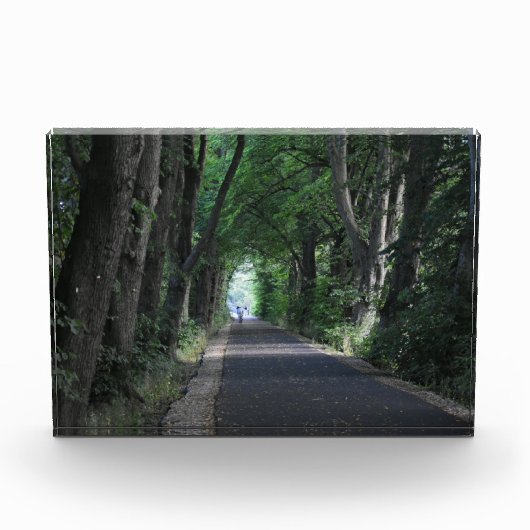 Bomen Fotoblokken (Voorkant)