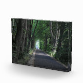 Bomen Fotoblokken (Rechts)