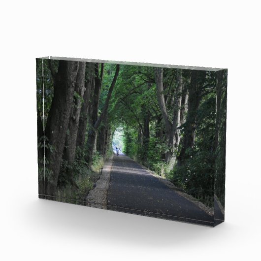 Bomen Fotoblokken (Rechts)