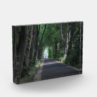 Bomen Fotoblokken