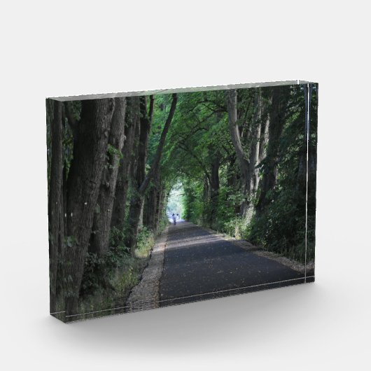 Bomen Fotoblokken (Links)