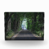 Bomen fotoblokken (Voorkant)