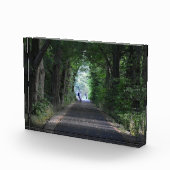 Bomen fotoblokken (Rechts)