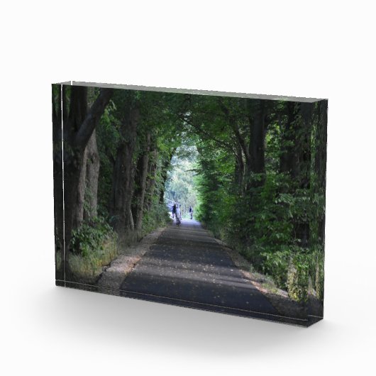 Bomen fotoblokken (Rechts)