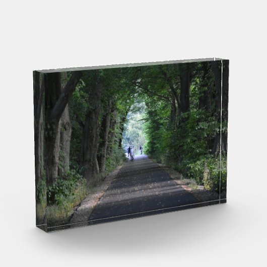 Bomen fotoblokken (Links)