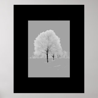 Bomen - gerijpt, zwart-witwandkunst poster