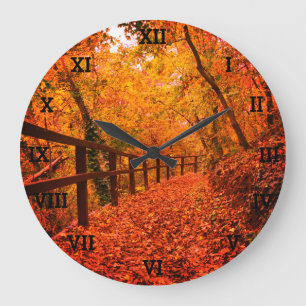Bomen Herfst Herfst Herfst bladeren Oranje bos Grote Klok