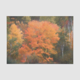 Bomen Herfst Woodland Forest Oranje Yellow Beauful Tissuepapier