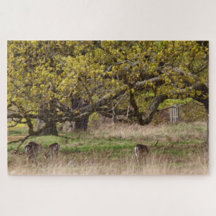 Bomen & Herten Legpuzzel