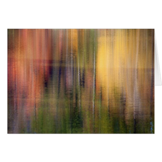 Bomen II (Voorkant Horizontaal)