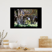 Bomen in Balboa Park Poster (Keuken)
