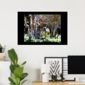 Bomen in Balboa Park Poster (Thuiskantoor)