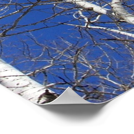 Bomen in blauw poster (Hoek)