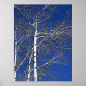 Bomen in blauw poster (Voorkant)
