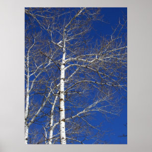 Bomen in blauw poster