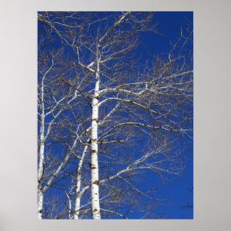 Bomen in blauw poster