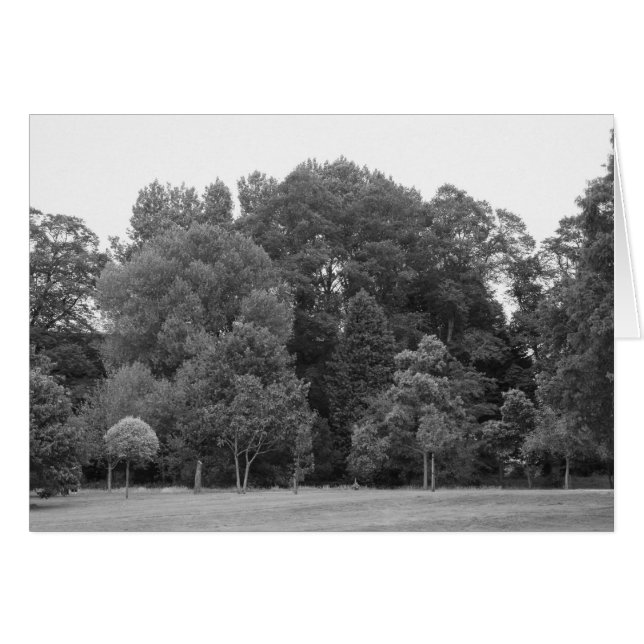 Bomen in Bute Park, Cardiff - BW (Voorkant Horizontaal)