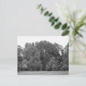 Bomen in Bute Park, Cardiff - BW Briefkaart (Staand voorkant)