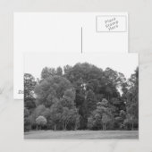 Bomen in Bute Park, Cardiff - BW Briefkaart (Voorkant / Achterkant)