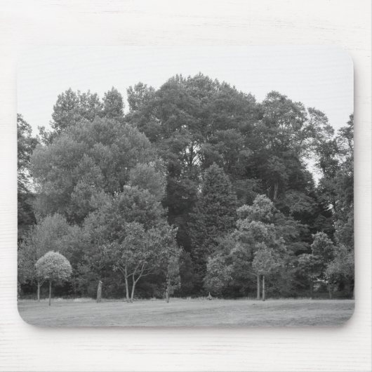 Bomen in Bute Park, Cardiff - BW Muismat (Voorkant)