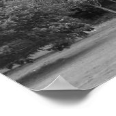 Bomen in Bute Park, Cardiff - BW Poster (Hoek)